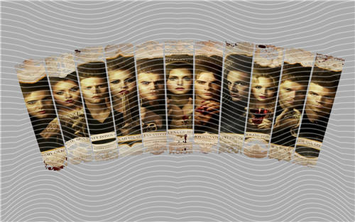 24oz cup wraps-N 463